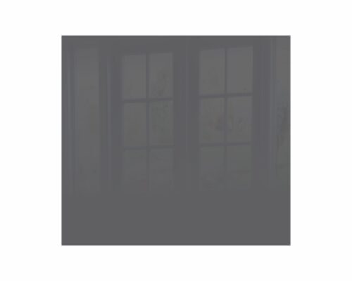 Parrot Decorative Glass Wall Tile Met Gun Metal 598 X 650 X 6mm