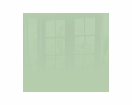 Parrot Decorative Glass Wall Tile Pastel Green 598 X 650 X 6mm