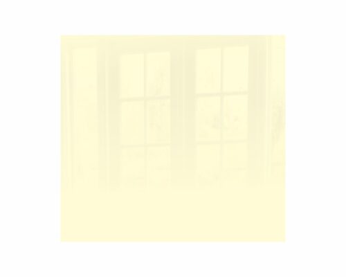 Parrot Decorative Glass Wall Tile Beige 598 X 650 X 6mm