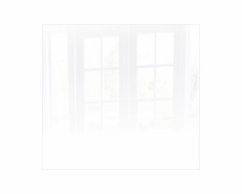 Parrot Decorative Glass Wall Tile White RAL9010 598 x 650 x 6mm