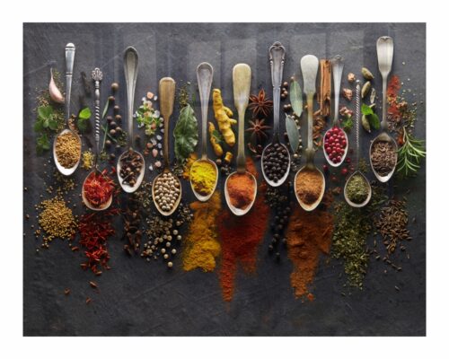 Parrot Decorative Glass Wall Tile Spices 898 x 700 x 6mm