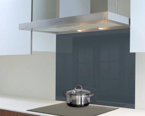 Parrot Decorative Glass Wall Tile Grey Blue 898 x 700 x 6mm