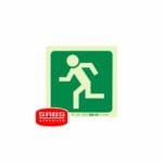 Parrot Photoluminescent 190mm E28 Safety Sign