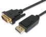 Equip Display Port to DVI-D 2M Cable