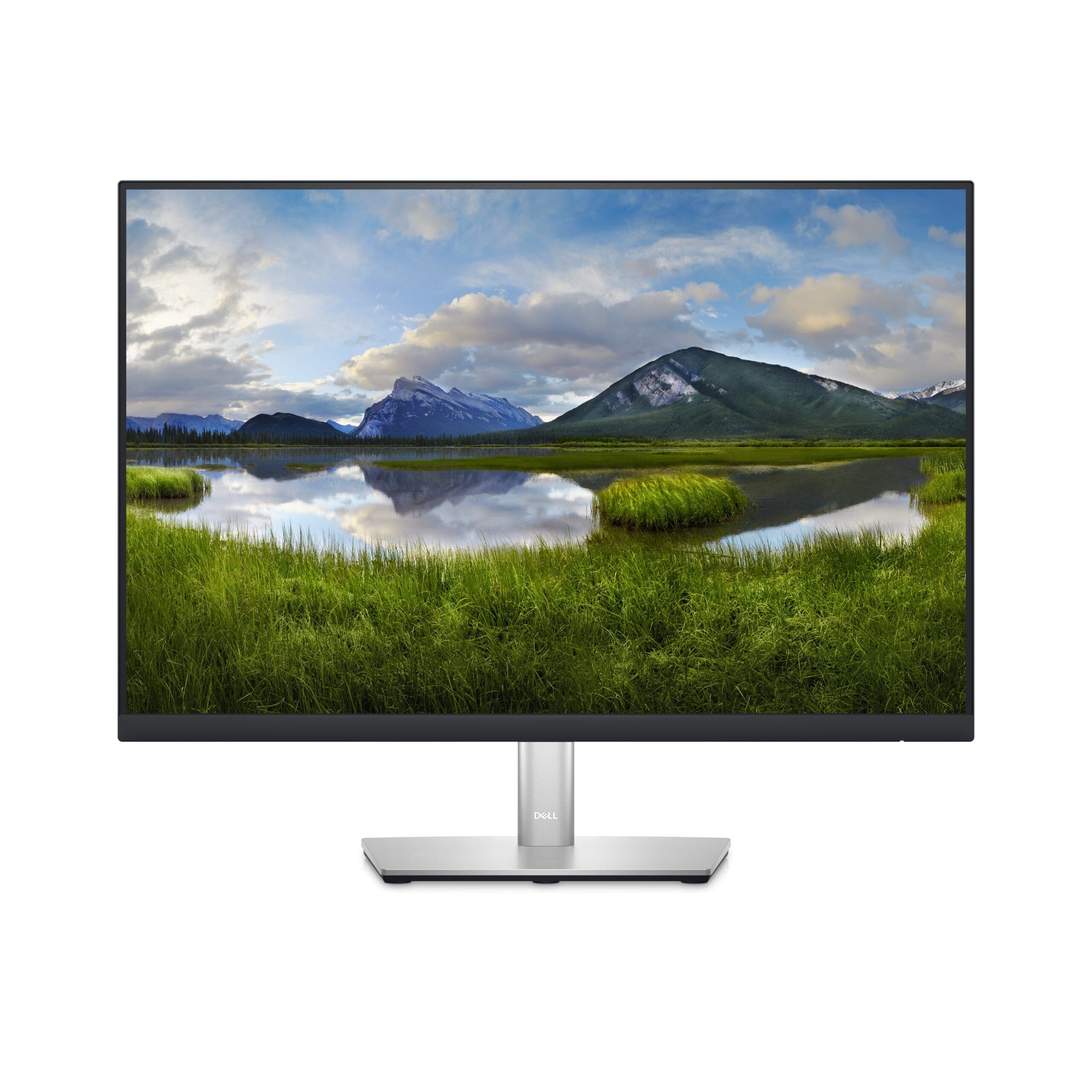 Dell P2423 24" Monitor