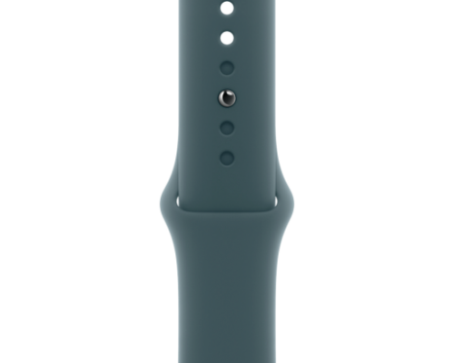 46mm M/L Lake Green Sport Band